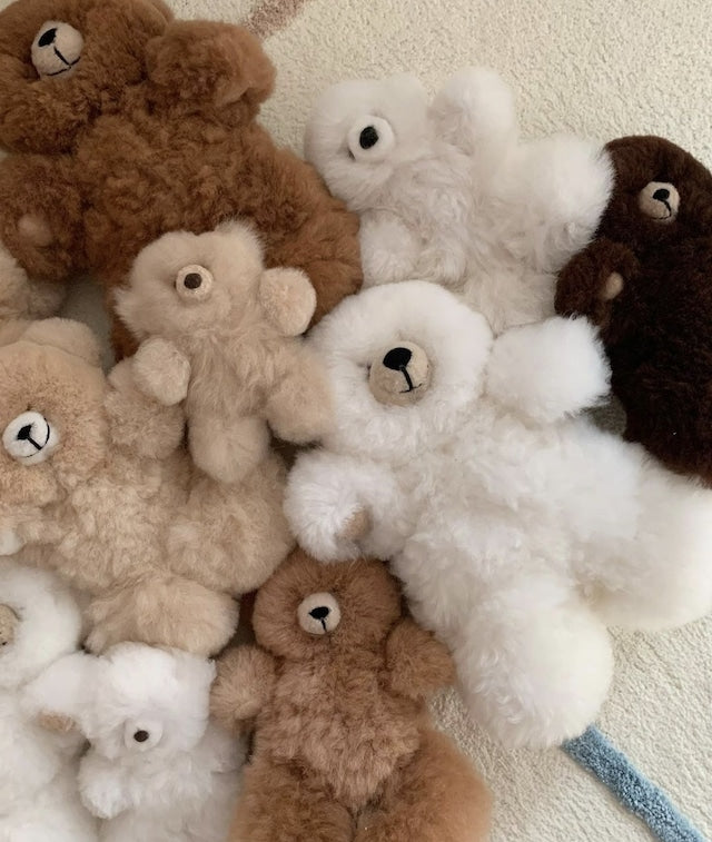 alpaca bear