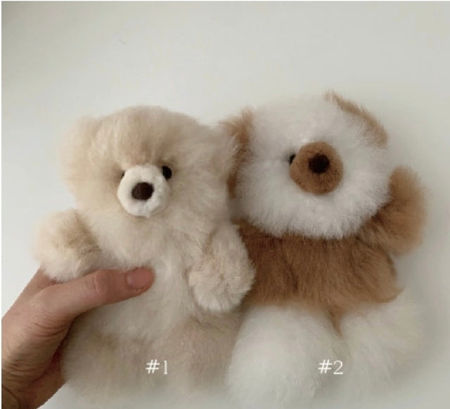 alpaca bear