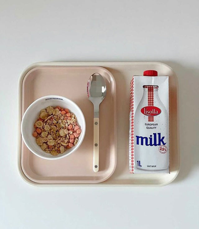 CAMBRO TRAY (12color)