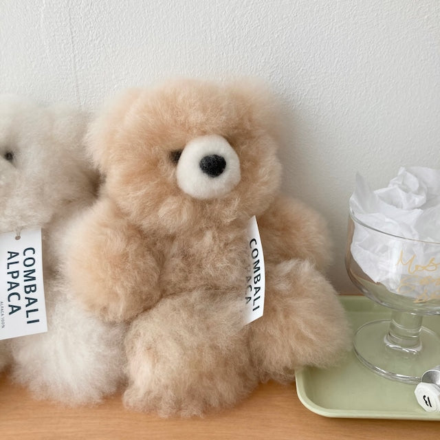 alpaca bear