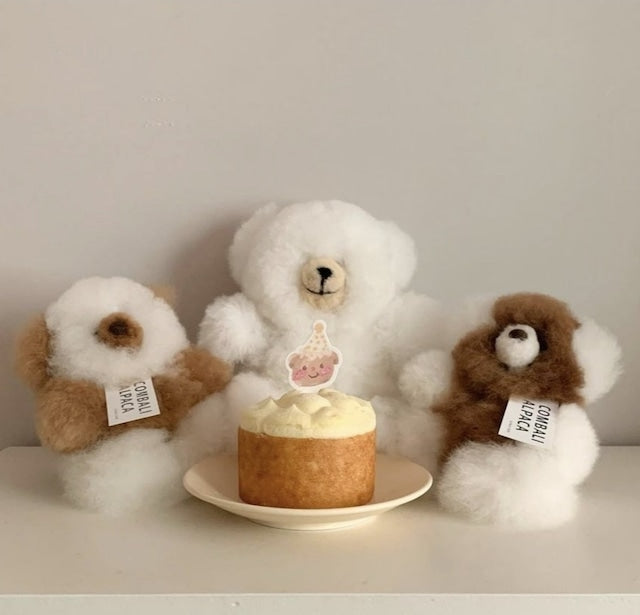 alpaca bear