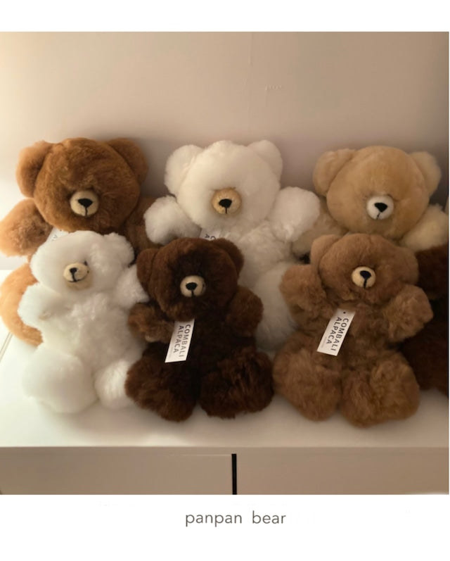 alpaca bear