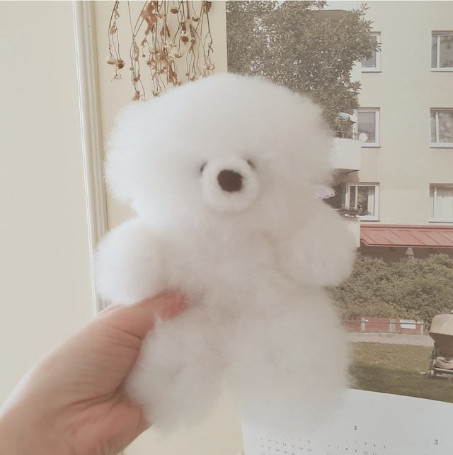 alpaca bear