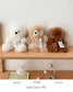 alpaca bear
